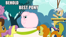 Size: 960x540 | Tagged: safe, edit, edited screencap, imported from derpibooru, screencap, bon bon, caramel, carrot top, golden harvest, lemon hearts, mayor mare, parasol, sweetie drops, oc, oc:fluffle puff, the last roundup, behold, best pony, forced meme, meme