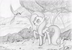 Size: 1814x1280 | Tagged: safe, artist:dodgeths, imported from derpibooru, fluttershy, bird, monochrome, traditional art