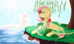 Size: 1766x1057 | Tagged: safe, artist:camaine, imported from derpibooru, fluttershy, alternate hairstyle, female, ponytail, solo