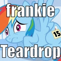 Size: 354x354 | Tagged: safe, imported from derpibooru, rainbow dash, frankie teardrop, image macro, lyrics, nightmare fuel