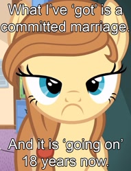 Size: 663x869 | Tagged: safe, imported from derpibooru, oc, oc only, oc:cream heart, earth pony, pony, bronybait, button's mom has got it going on, female, grumpy, image macro, inverted mouth, looking at you, mare, marriage, meme, solo, text