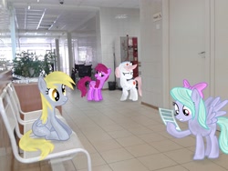 Size: 2560x1920 | Tagged: safe, artist:atlas-66, imported from derpibooru, berry punch, berryshine, derpy hooves, flitter, nurse redheart, pegasus, pony, clinic, female, hospital, irl, mare, photo, ponies in real life, vector, vending machine, wheelchair