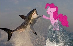 Size: 500x313 | Tagged: safe, imported from derpibooru, pinkie pie, earth pony, fish, great white shark, pony, shark, animal, duo, eyes closed, female, high five, mare, wayer