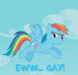 Size: 749x718 | Tagged: safe, imported from derpibooru, rainbow dash, pegasus, pony, ew gay, female, image macro, solo, vulgar