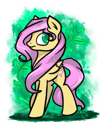 Size: 850x1050 | Tagged: safe, artist:cuprumrus, imported from derpibooru, fluttershy, pegasus, pony, female, solo