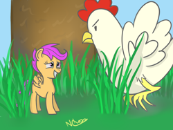 Size: 1600x1200 | Tagged: safe, artist:cwossie, imported from derpibooru, scootaloo, chicken, miniature pony