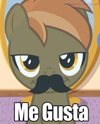 Size: 302x373 | Tagged: safe, imported from derpibooru, button mash, earth pony, pony, button's adventures, bedroom eyes, button 'stache, colt, foal, image macro, male, me gusta, meme, moustache, rage face, smiling, solo, text