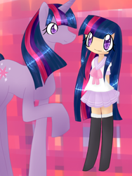 Size: 600x800 | Tagged: safe, artist:natnat-koneko, imported from derpibooru, twilight sparkle, human, human ponidox, humanized