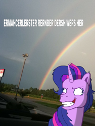 Size: 720x960 | Tagged: safe, artist:colossalstinker, imported from derpibooru, twilight sparkle, pony, derp, double rainbow, ermahgerd, female, g3, g4, g4 to g3, generation leap, image macro, irl, outdoors, photo, ponies in real life, solo, twilight snapple