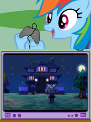 Size: 395x532 | Tagged: safe, imported from derpibooru, rainbow dash, animal crossing, exploitable meme, gamerdash, meme, obligatory pony, samurai, tv meme