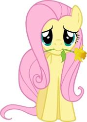 Size: 728x1015 | Tagged: safe, artist:zacatron94, imported from derpibooru, fluttershy, pegasus, pony, female, flower, mare, mouth hold, simple background, solo, transparent background