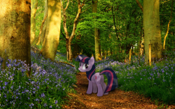 Size: 1920x1200 | Tagged: safe, artist:bryal, imported from derpibooru, twilight sparkle, forest, irl, photo, ponies in real life, solo