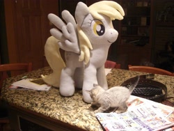 Size: 3648x2736 | Tagged: safe, artist:theculturewarrior, imported from derpibooru, derpy hooves, cat, pegasus, pony, female, irl, kitten, mare, photo, plushie