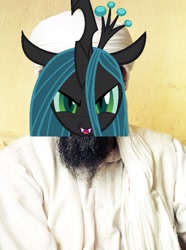 Size: 1567x2101 | Tagged: safe, edit, imported from derpibooru, queen chrysalis, op is trying to start shit, osama bin laden, why zyrax why