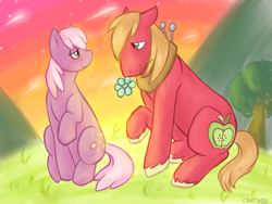 Size: 1000x750 | Tagged: safe, artist:rainbowbruises, imported from derpibooru, big macintosh, cheerilee, earth pony, pony, cheerimac, flower, flower in mouth, male, mouth hold, shipping, stallion, straight