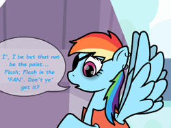 Size: 500x375 | Tagged: safe, imported from derpibooru, flash sentry, rainbow dash, ask flash sentry, eyepatch, female, pirate, pirate dash, solo, tumblr