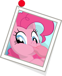 Size: 1630x1993 | Tagged: safe, artist:stainless33, imported from derpibooru, pinkie pie, camera, female, photo, simple background, solo, transparent background, vector