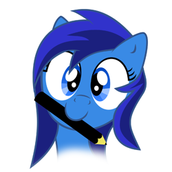 Size: 1000x1000 | Tagged: safe, artist:4-cardinal, imported from derpibooru, oc, oc only, pony, blue, mouth hold, solo