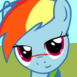Size: 780x780 | Tagged: safe, artist:idkwtsit2u, imported from derpibooru, rainbow dash, bedroom eyes, blushing, close-up, female, looking at you, solo, stupid sexy rainbow dash, trace