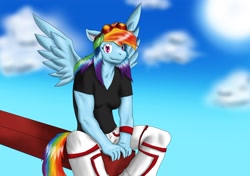 Size: 1590x1117 | Tagged: safe, artist:flameydragwasp, imported from derpibooru, rainbow dash, anthro, clothes, female, goggles, muscles, pants, rainbuff dash, solo