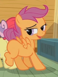 Size: 398x532 | Tagged: safe, imported from derpibooru, screencap, apple bloom, scootaloo, sweetie belle, cutie mark crusaders, lidded eyes