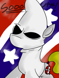 Size: 612x812 | Tagged: safe, artist:kluxy, imported from derpibooru, oc, oc only, confederate, kkk, ku klux klan, racism, solo