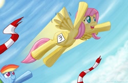 Size: 1236x800 | Tagged: safe, artist:ladyanidraws, imported from derpibooru, fluttershy, rainbow dash, crying, racing, tears of joy