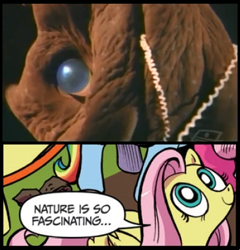 Size: 392x408 | Tagged: safe, edit, idw, imported from derpibooru, fluttershy, cephalopod, pegasus, pony, exploitable meme, female, mare, meme, nature is so fascinating, obligatory pony, vampire squid