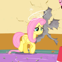Size: 540x540 | Tagged: safe, imported from derpibooru, screencap, fluttershy, party of one, animated, circling stars, dazed, dizzy, female, solo