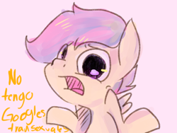 Size: 1024x768 | Tagged: safe, imported from derpibooru, scootaloo, female, solo, spanish