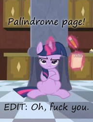 Size: 452x588 | Tagged: safe, edit, edited screencap, imported from derpibooru, screencap, twilight sparkle, a canterlot wedding, crossed hooves, female, grumpy, insane pony thread, levitation, magic, notepad, palindrome, pencil, solo, telekinesis, vulgar