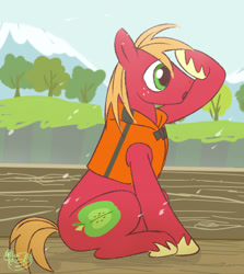 Size: 536x601 | Tagged: safe, artist:nmnkgskds, imported from derpibooru, big macintosh, earth pony, pony, lifejacket, male, pixiv, solo, stallion