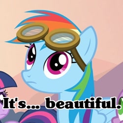 Size: 318x318 | Tagged: safe, edit, edited screencap, imported from derpibooru, screencap, rainbow dash, spike, twilight sparkle, hurricane fluttershy, caption, cropped, goggles, image macro, offscreen character, reaction image, solo focus
