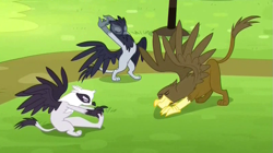 Size: 807x452 | Tagged: safe, imported from derpibooru, screencap, gaston (griffon), giselle, irma, natalya, griffon, rainbow falls, background griffon, gaston, griffon team, stretching, trio