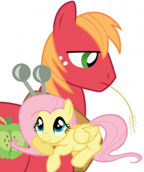 Size: 250x297 | Tagged: safe, imported from derpibooru, big macintosh, fluttershy, earth pony, pony, fanfic, fanfic art, fanfic cover, fluttermac, male, shipping, simple background, stallion, straight, vector, white background