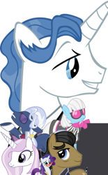 Size: 248x400 | Tagged: safe, artist:izanoslayer, imported from derpibooru, fancypants, filthy rich, fleur-de-lis, hoity toity, photo finish, rarity, fanfic, fanfic art, fanfic cover, simple background, vector, white background