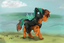 Size: 1980x1320 | Tagged: safe, artist:mik3thestrange, imported from derpibooru, oc, oc only, changeling, earth pony, pony, beach, female, male, ocean, quadrupedal, stallion, water