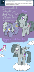 Size: 650x1364 | Tagged: safe, artist:atlur, deleted from derpibooru, imported from derpibooru, limestone pie, marble pie, oc, oc:phoe, pegasus, pony, ask the pie sisters, ask, cloud, cloudy, comic, race swap, tumblr