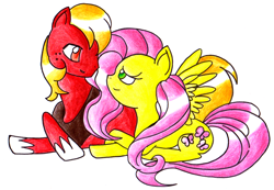 Size: 1581x1093 | Tagged: safe, artist:kirby722, imported from derpibooru, big macintosh, fluttershy, earth pony, pony, fluttermac, male, shipping, stallion, straight, traditional art