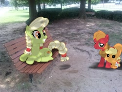 Size: 2592x1944 | Tagged: safe, artist:jennieoo, artist:kysss90, artist:tokkazutara1164, imported from derpibooru, applejack, big macintosh, granny smith, earth pony, pony, baby, babyjack, bench, bush, colt, diaper, fencing, filly, irl, male, photo, ponies in real life, show accurate, stallion, tree, vector, young granny smith, younger