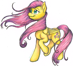 Size: 800x723 | Tagged: safe, artist:devipotato, imported from derpibooru, fluttershy, female, solo, traditional art