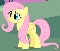 Size: 550x466 | Tagged: safe, imported from derpibooru, screencap, fluttershy, pegasus, pony, stare master, cropped, female, folded wings, mare, solo, wings