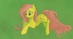 Size: 4570x2440 | Tagged: safe, artist:darkflame75, imported from derpibooru, fluttershy, drawing, female, solo