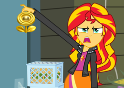 Size: 1016x720 | Tagged: safe, edit, imported from derpibooru, sunset shimmer, equestria girls, exploitable meme, female, gold flower, meme, new super mario bros. 2, solo, sunset is disgusted, super mario bros.