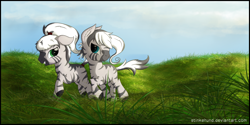 Size: 2400x1200 | Tagged: safe, artist:stinkehund, imported from derpibooru, oc, oc only, zebra, female, fluffy, grass, scenery