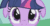 Size: 386x201 | Tagged: source needed, useless source url, safe, imported from derpibooru, screencap, twilight sparkle, pony, unicorn, season 1, the ticket master, animated, big eyes, cropped, cute, dilated pupils, female, floppy ears, mare, solo, twiabetes, unicorn twilight, wide eyes