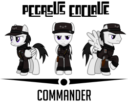 Size: 1024x824 | Tagged: safe, artist:brisineo, imported from derpibooru, pegasus, pony, fallout equestria, clothes, enclave, grand pegasus enclave, hat, holster, vector