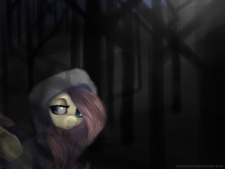 Size: 2000x1500 | Tagged: safe, artist:abovespace, imported from derpibooru, fluttershy, clothes, female, hoodie, solo