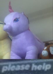 Size: 560x772 | Tagged: safe, imported from derpibooru, twilight sparkle, bootleg, expand dong, exploitable meme, irl, kill me, meme, photo, plushie