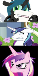 Size: 482x965 | Tagged: safe, imported from derpibooru, princess cadance, queen chrysalis, shining armor, alicorn, changeling, changeling queen, pony, unicorn, chrysalis' note, exploitable meme, female, infidelity, infidelity armor, male, meme, pregnancy test, shining chrysalis, shipping, straight